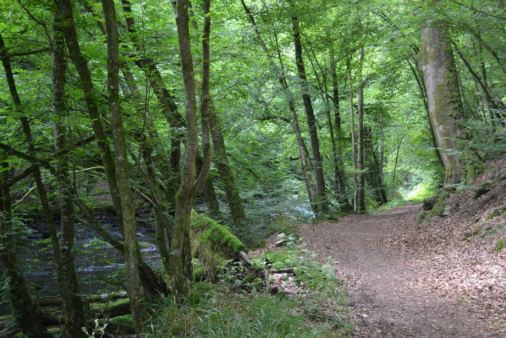 Gite La Clef Des Champs Libin Zimmer foto